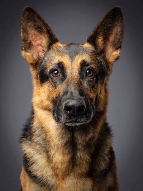 Security Specialist